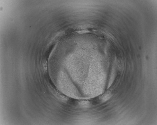 X0000076400718200610202130