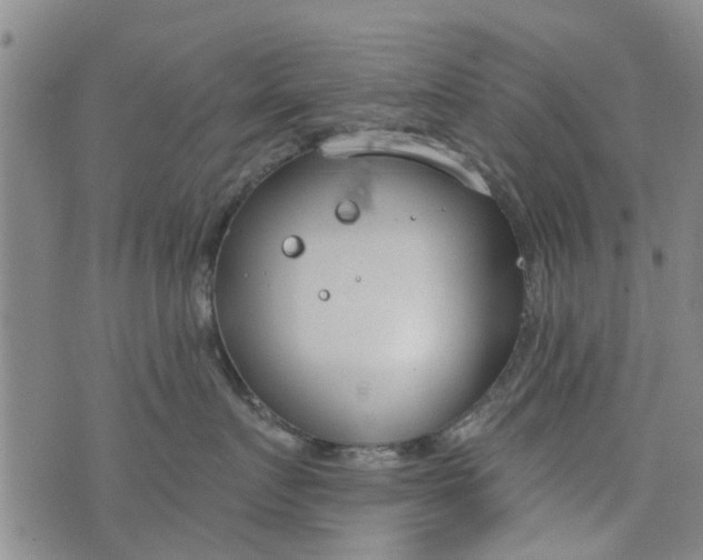 X0000076400719200610202130