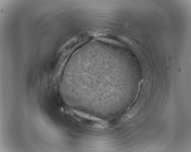 X0000076400720200610202130