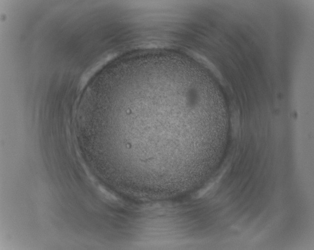 X0000076400721200610202129