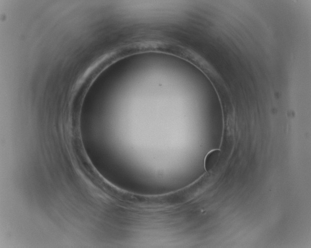 X0000076400722200610202129