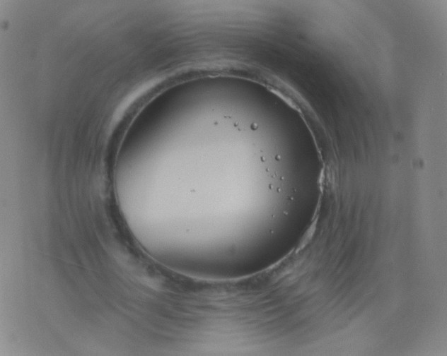 X0000076400724200610202129