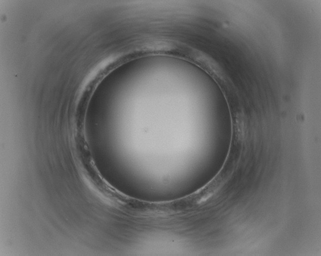 X0000076400726200610202129