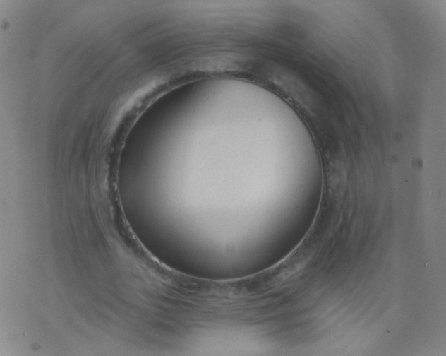 X0000076400727200610202129