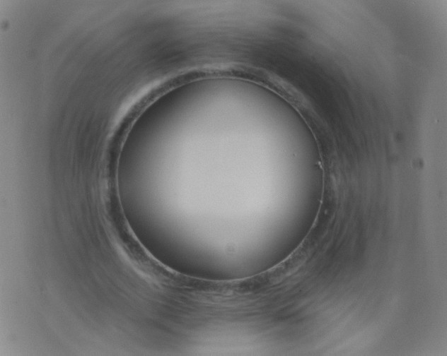 X0000076400728200610202129