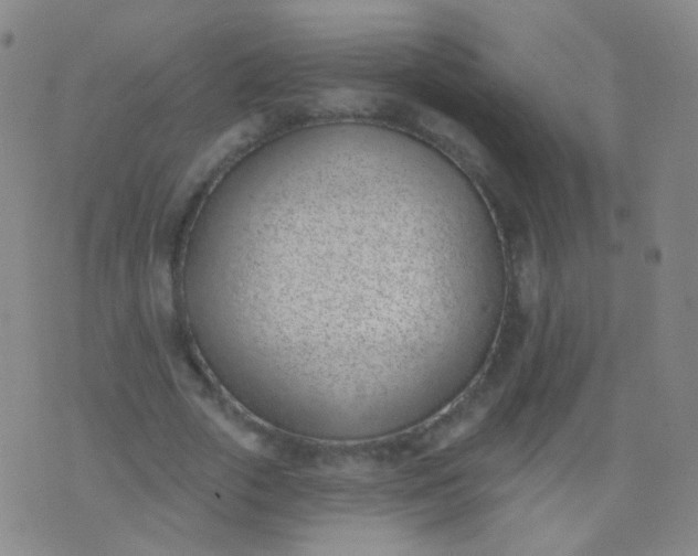 X0000076400729200610202129