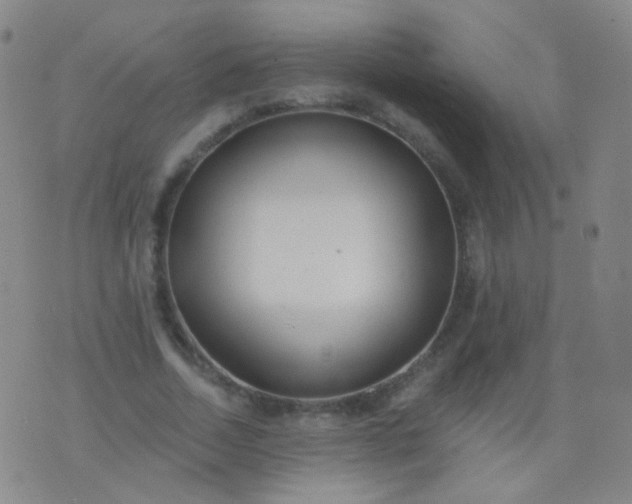 X0000076400730200610202129