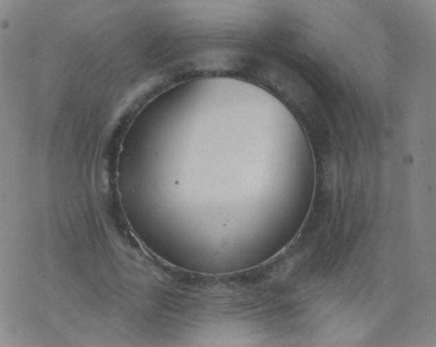 X0000076400731200610202129