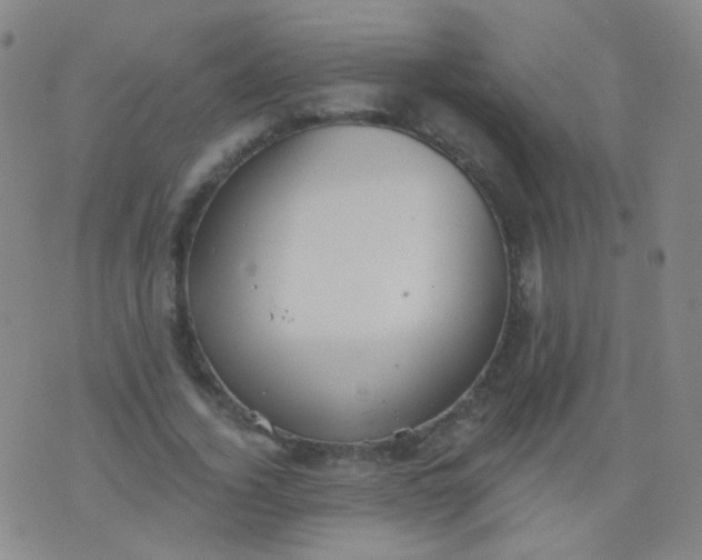 X0000076400732200610202129