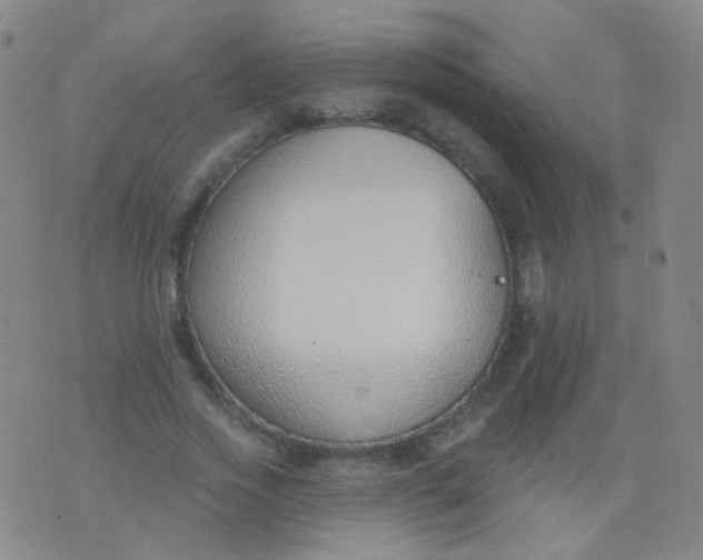 X0000076400733200610202129