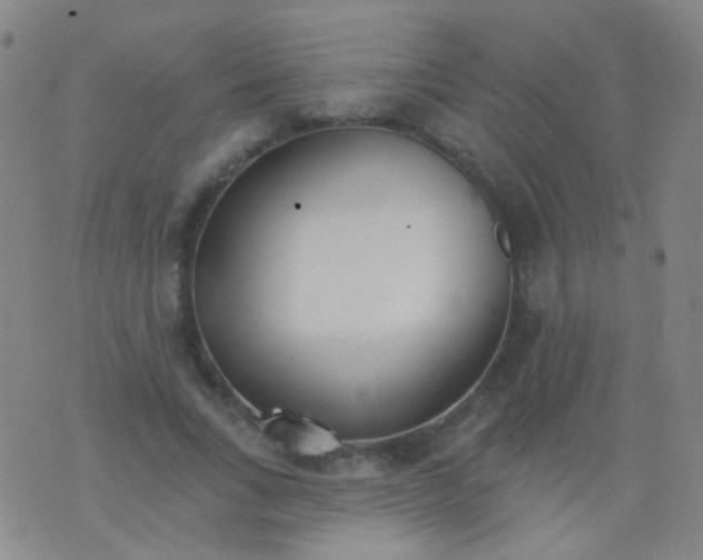 X0000076400735200610202129