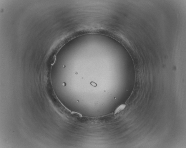 X0000076400736200610202129