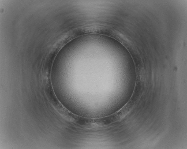 X0000076400737200610202129