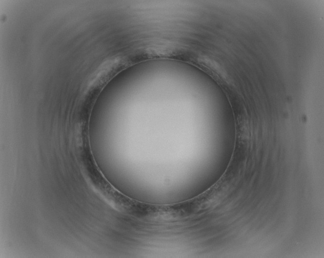 X0000076400738200610202129