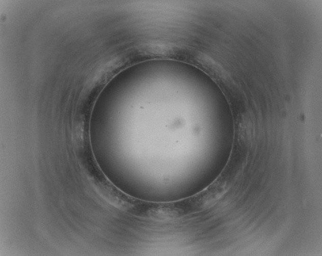 X0000076400739200610202129