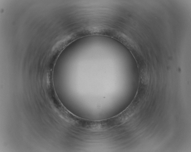 X0000076400740200610202129