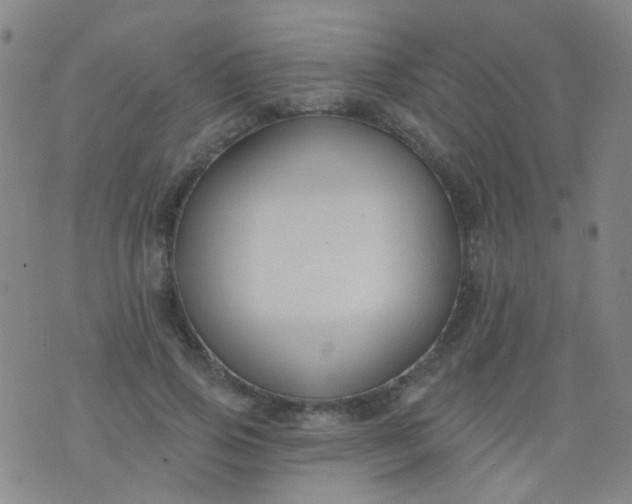 X0000076400741200610202129