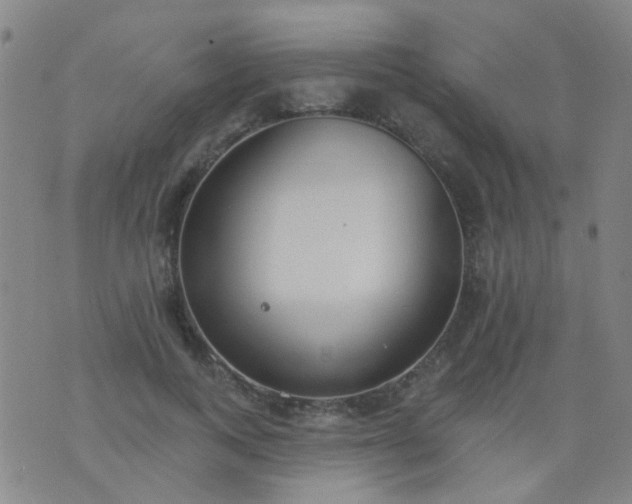 X0000076400743200610202129