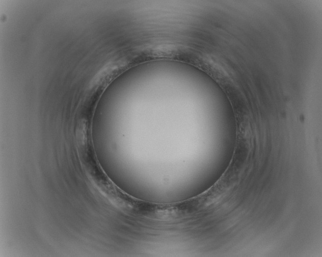 X0000076400744200610202129