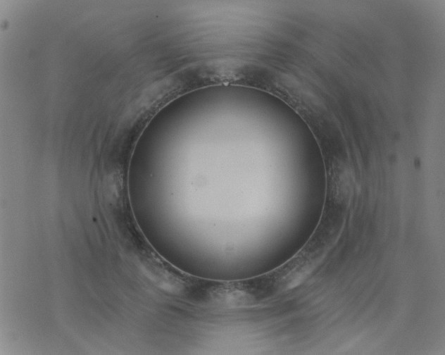 X0000076400747200610202129