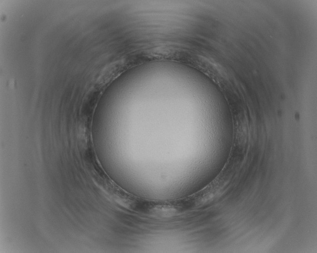 X0000076400749200610202130