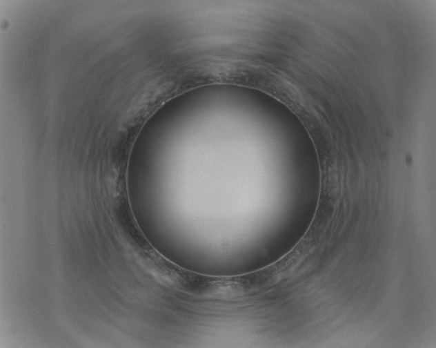 X0000076400750200610202130