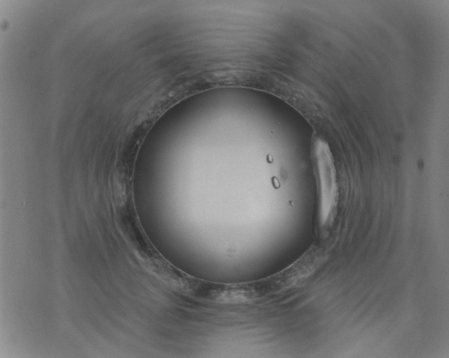 X0000076400751200610202130