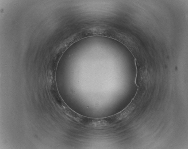 X0000076400752200610202130