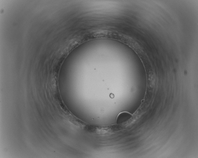 X0000076400753200610202130