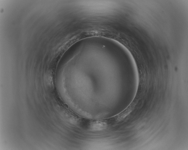 X0000076400754200610202130