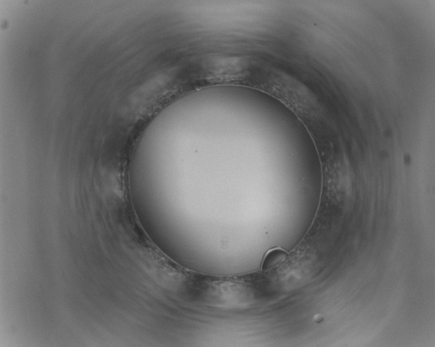 X0000076400755200610202130