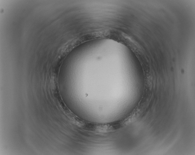 X0000076400757200610202130