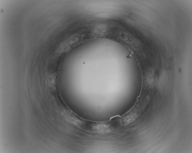 X0000076400759200610202130