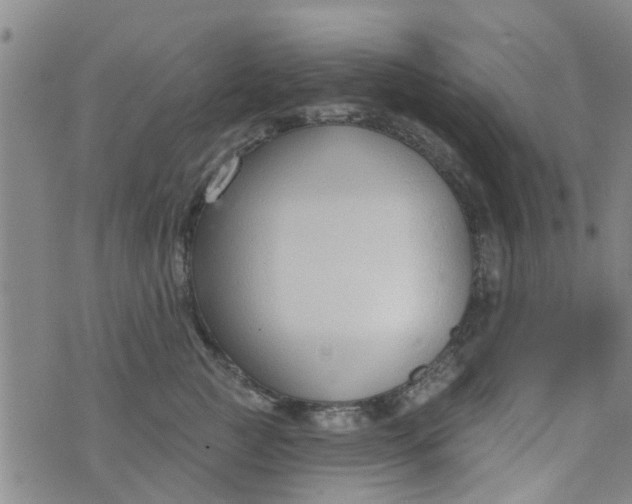 X0000076400761200610202130