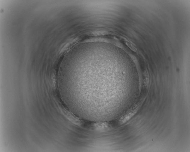 X0000076400762200610202130