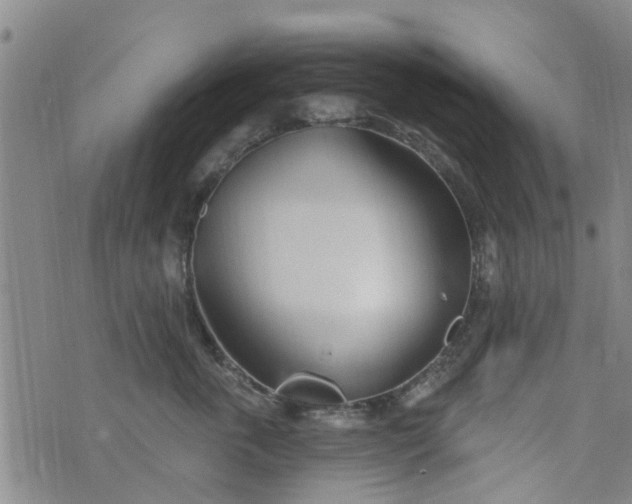 X0000076400763200610202130