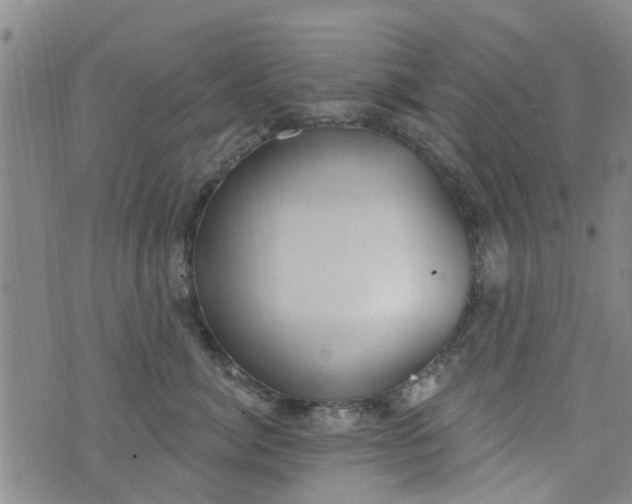 X0000076400764200610202130