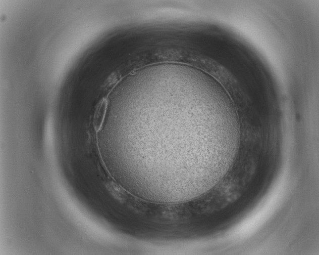 X0000076400765200610202130