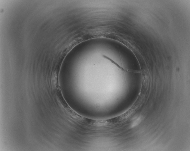 X0000076400767200610202130