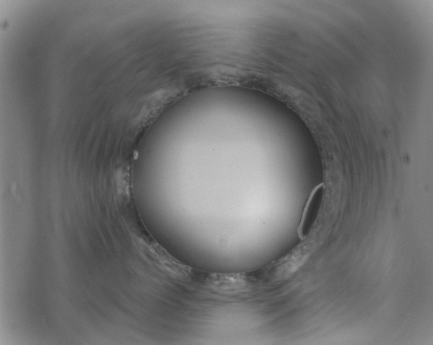 X0000076400768200610202130