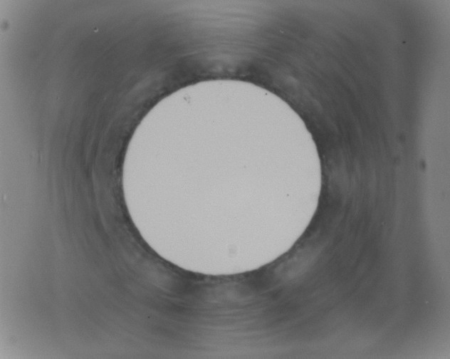 X0000076400769200610202129