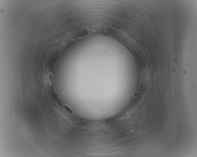 X0000076400770200610202129