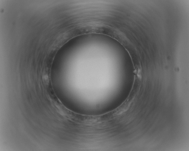 X0000076400771200610202129