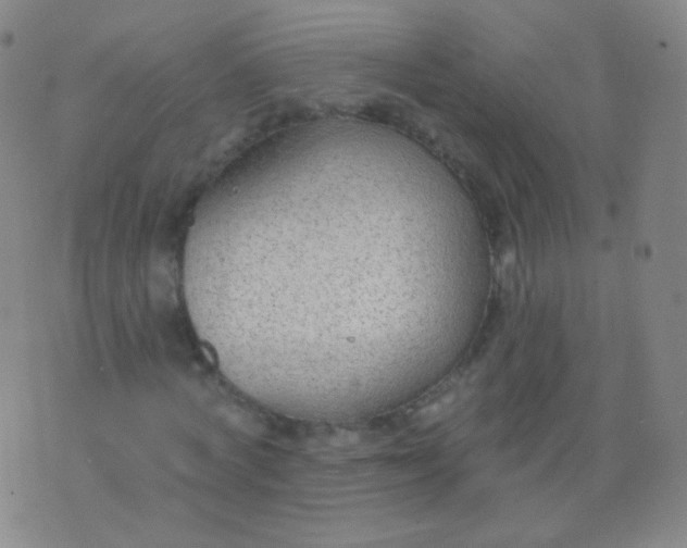 X0000076400772200610202129