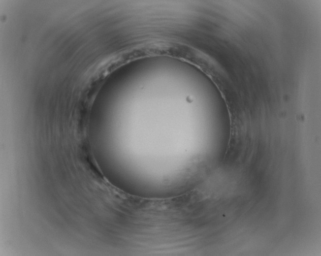 X0000076400773200610202129