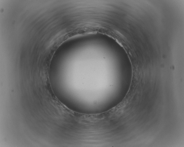 X0000076400774200610202129