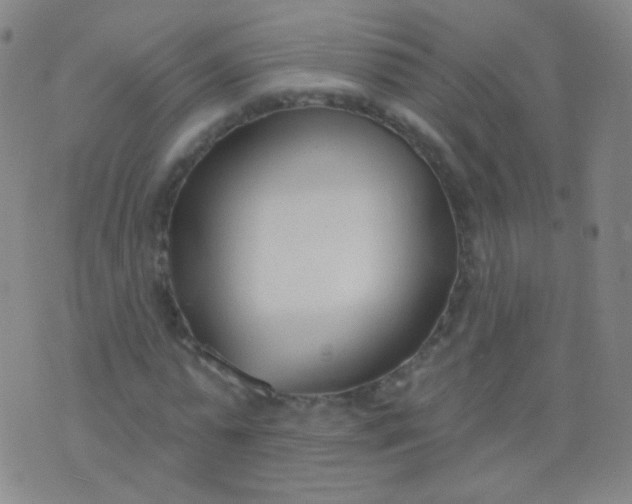 X0000076400775200610202129