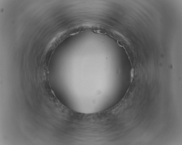 X0000076400776200610202129