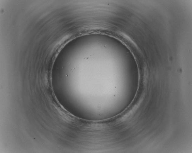 X0000076400777200610202129