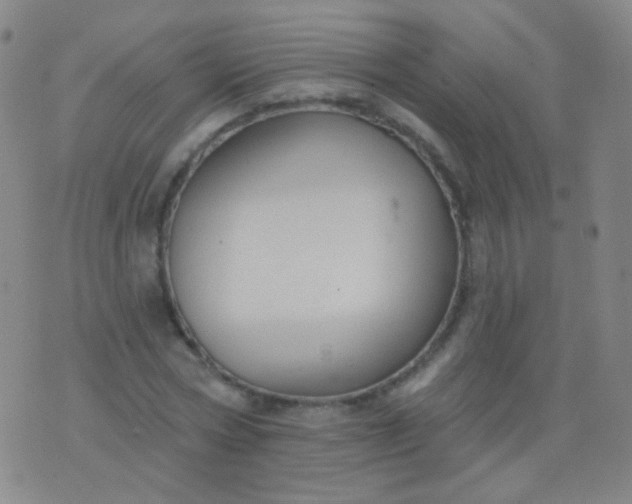 X0000076400778200610202129